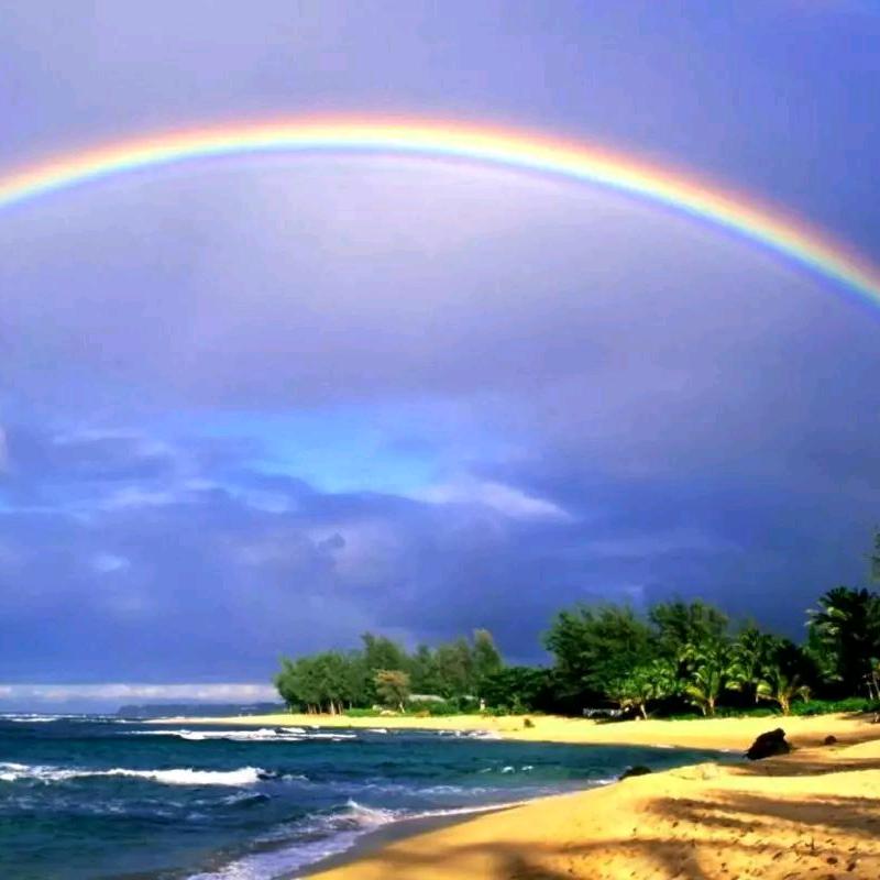 一缕阳光ᐡ• ·̫ •̥ᐡᰔᩚ