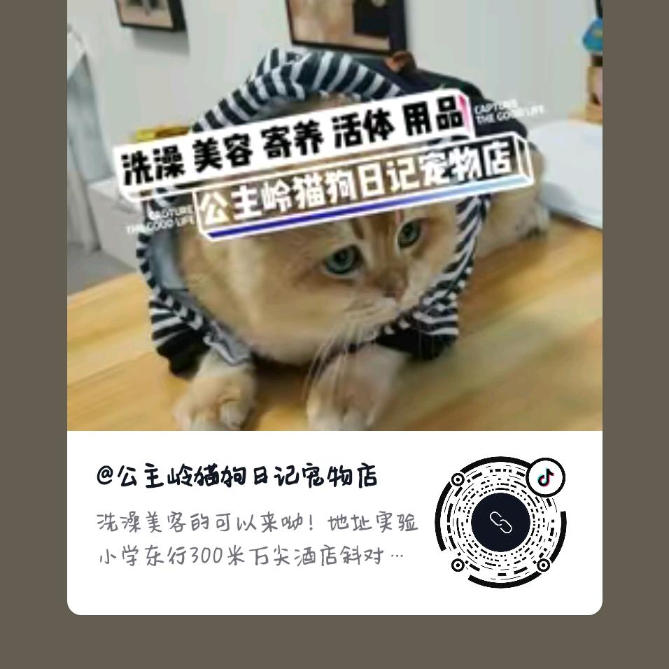 公主岭猫狗日记宠物店