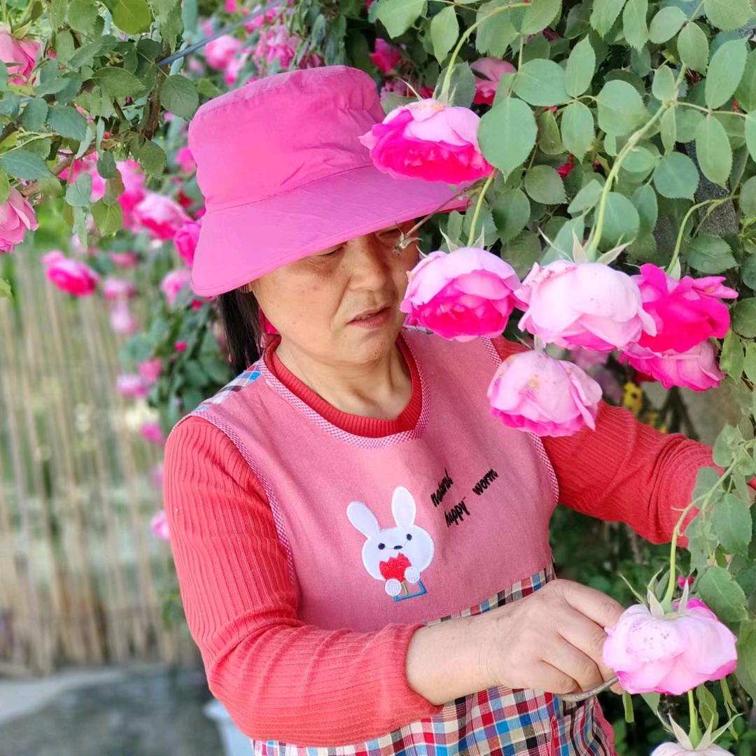 悠悠青荷