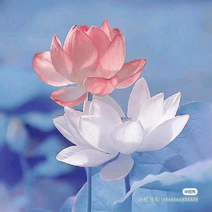 永远年轻❤️