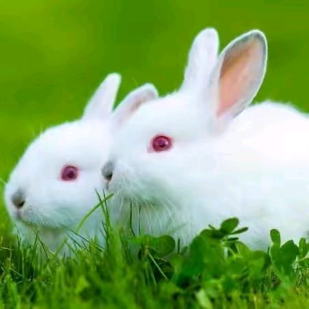 杰悦建筑（劳务有限公司）