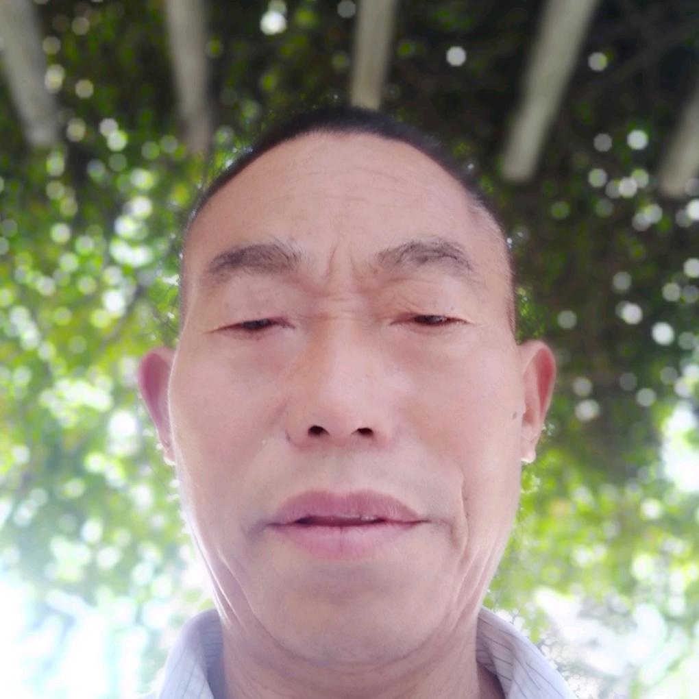 李元华石鼓导游