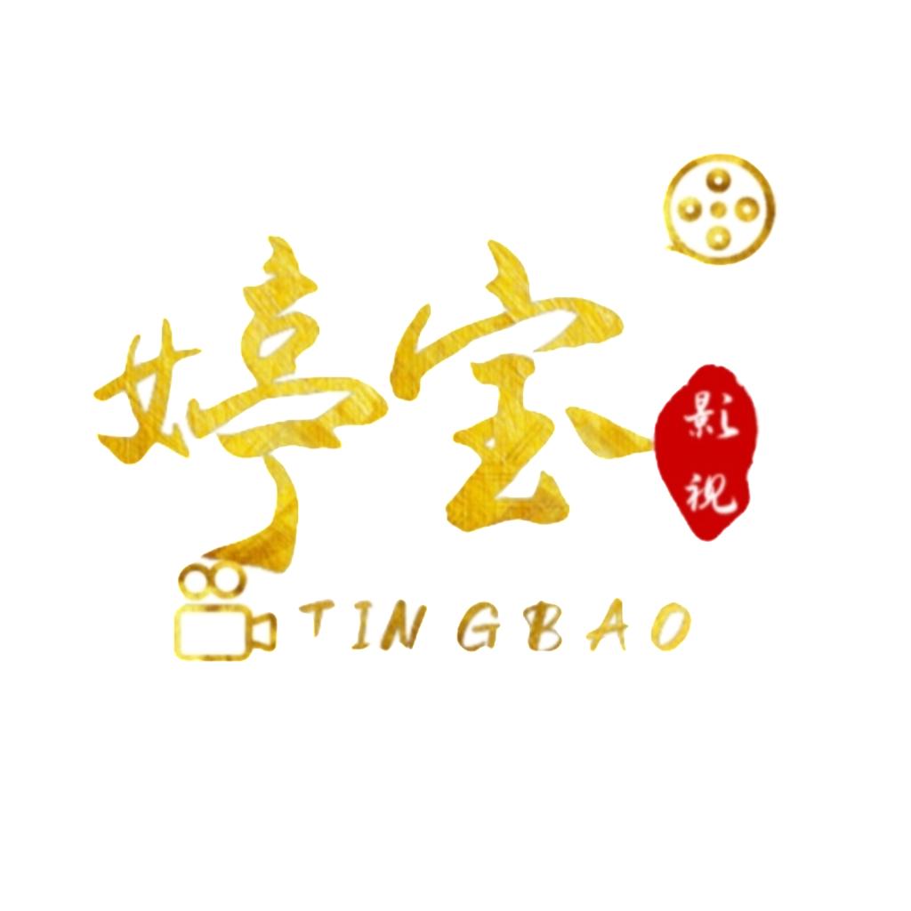 婷宝影视