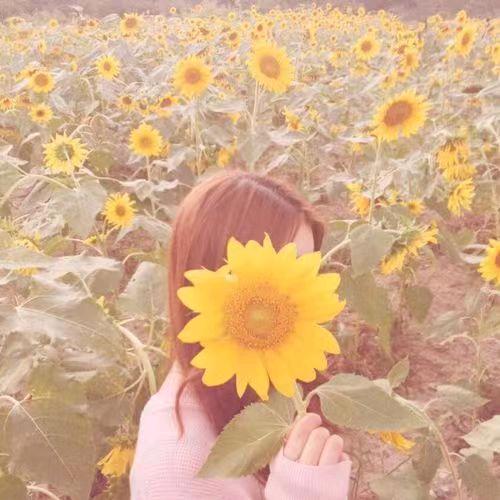 山花🌈