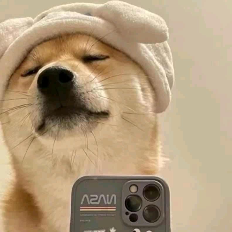 我又怎么能够忘掉你的温柔