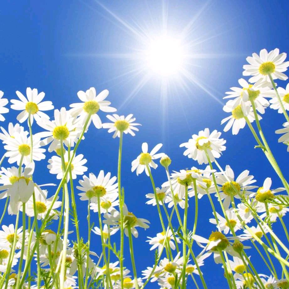 🌈🌈🌈招财猫💗🐯🍀🍀🍀