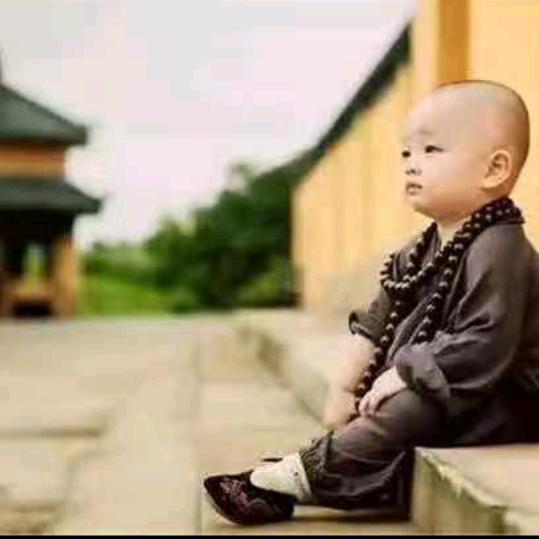 趙公子🐇《招财💰进宝》