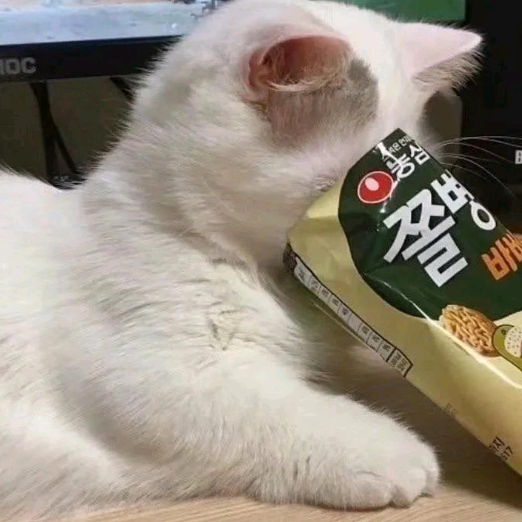 不要偷吃小蛋糕