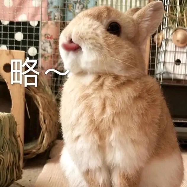 打归打，空气给一下头像