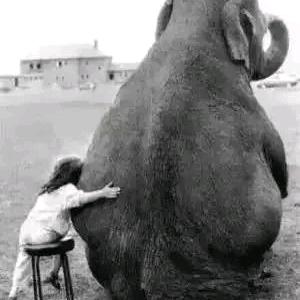 青春只因年少。