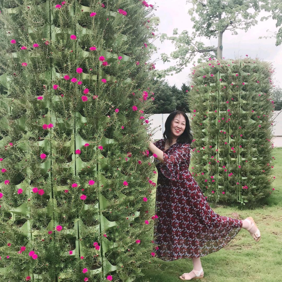 美梅
