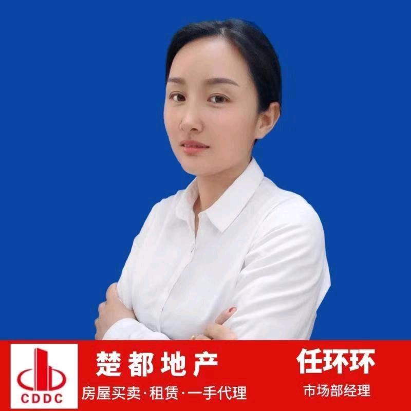 楚都地产任环环