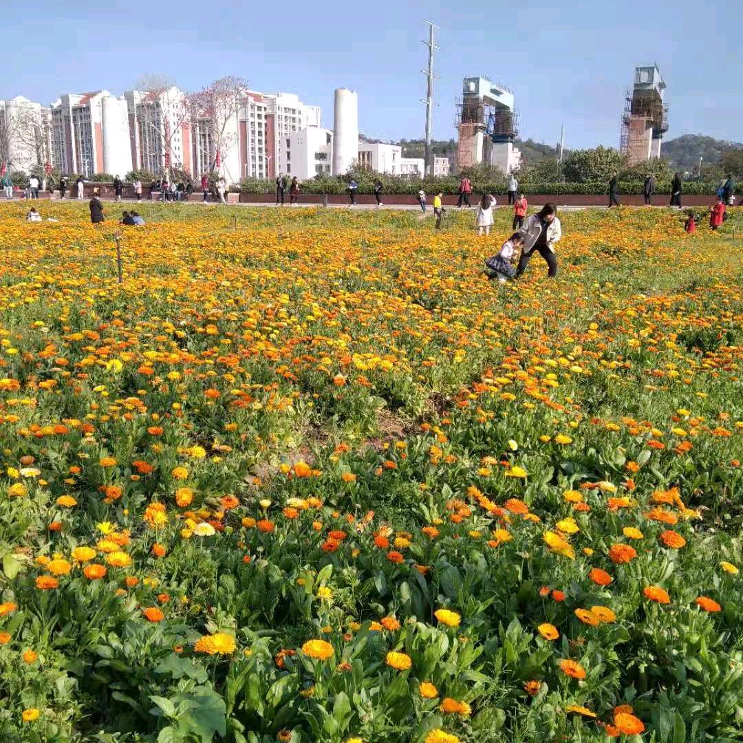 好物分享【商品在橱窗】