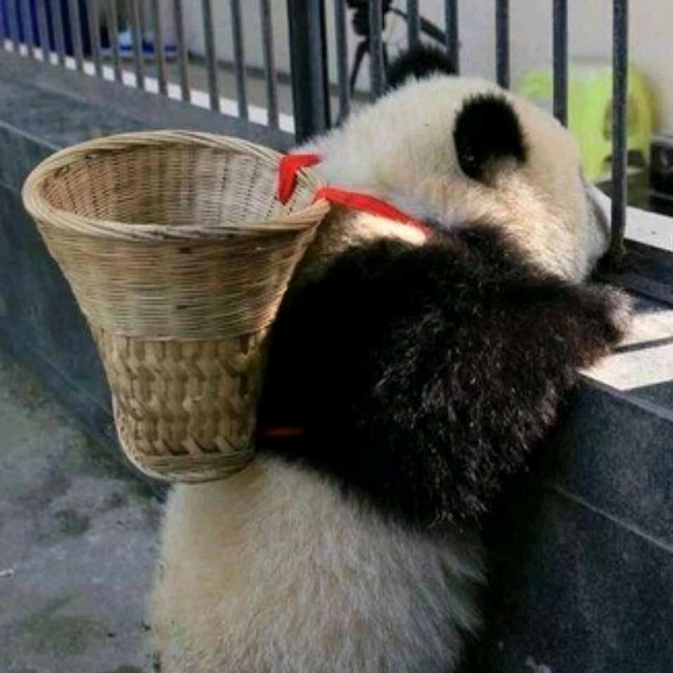 一个在村里长的比较英俊的老爷爷