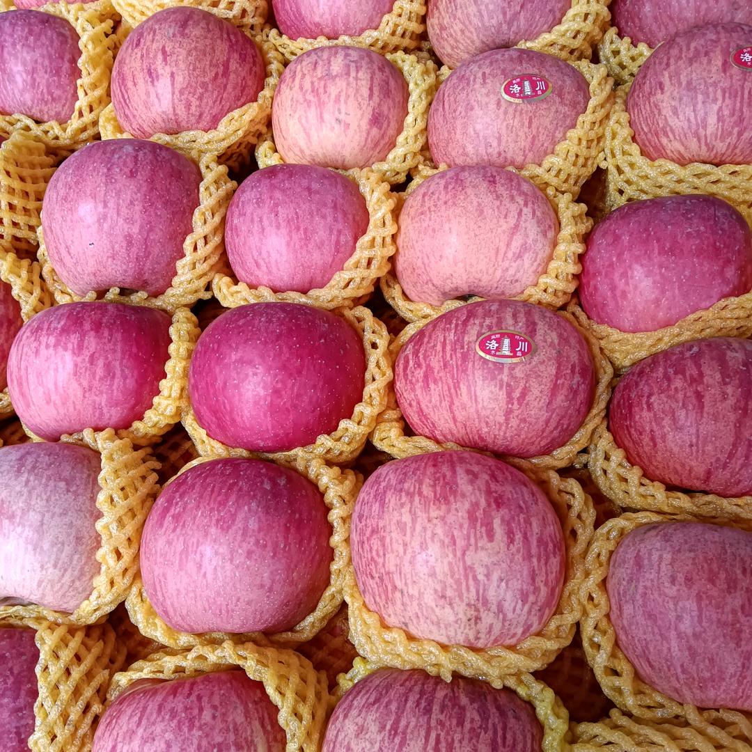 小陈（蔬果姐〉