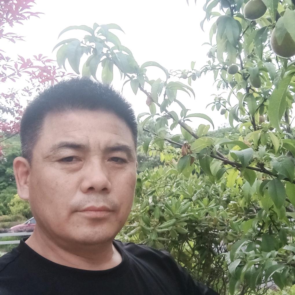 苏州诚固建筑安装有限公司