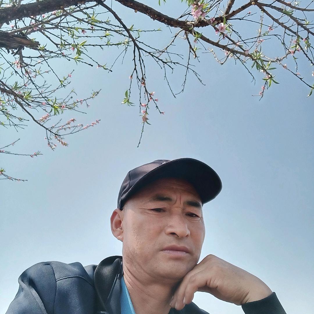 杨春茂