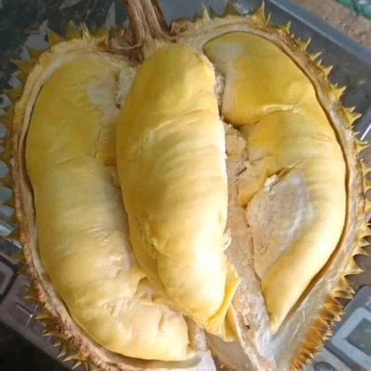 杜集小王水果店