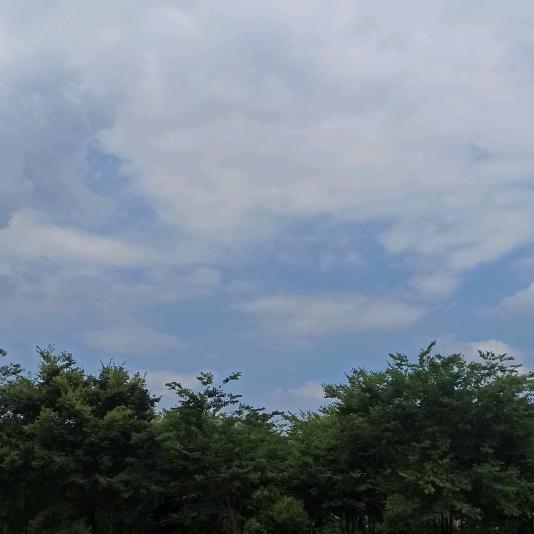 篮天