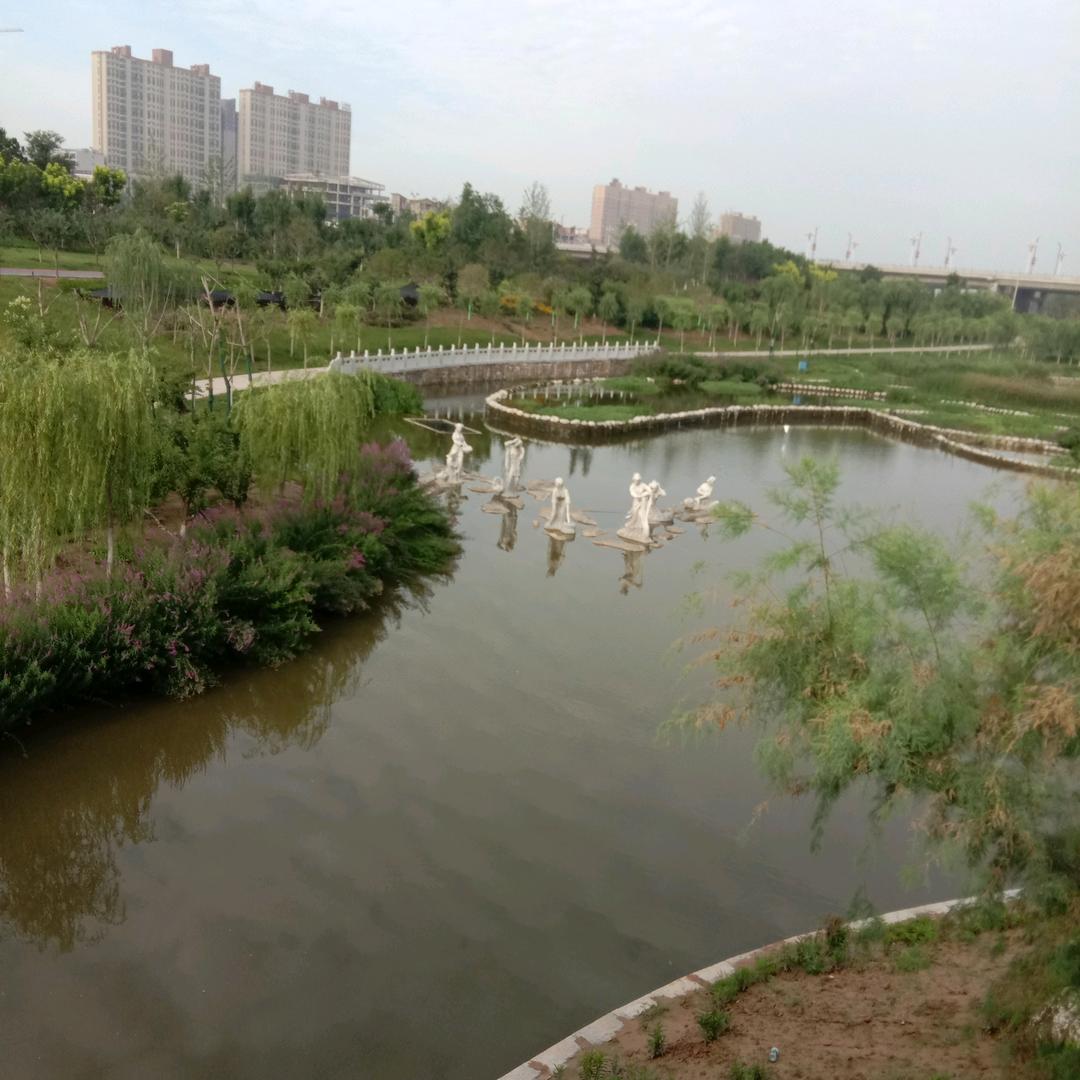 绿叶