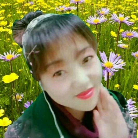风铃草（伤感歌曲分享）