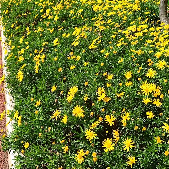 每好日子໑ຼₒ₂5ღ᭄幸运🕊꧔ꦿ꧁妹୧