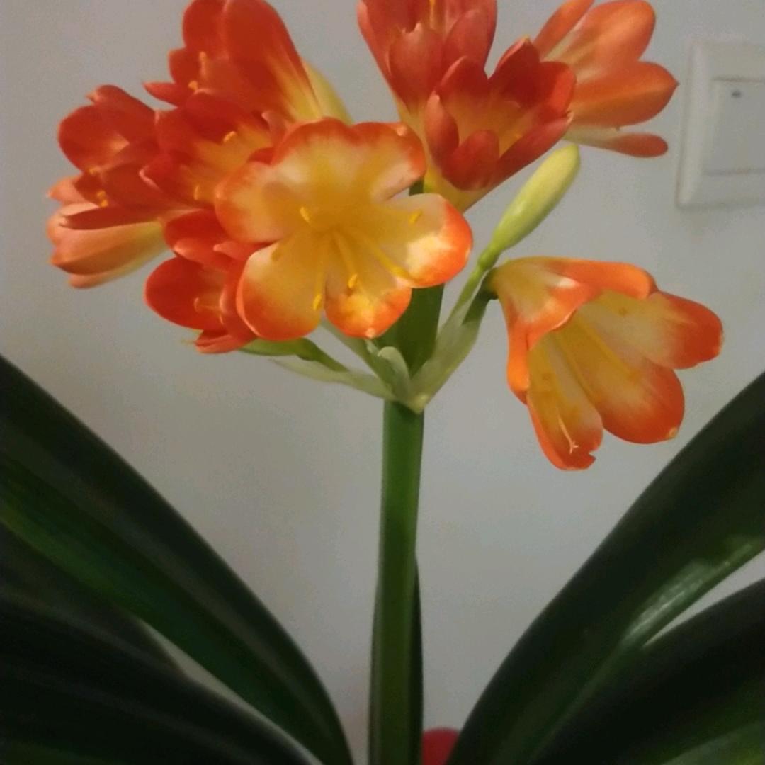 我