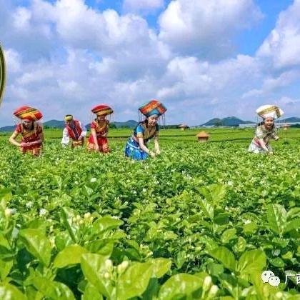 ⭐乁小城画师🍓