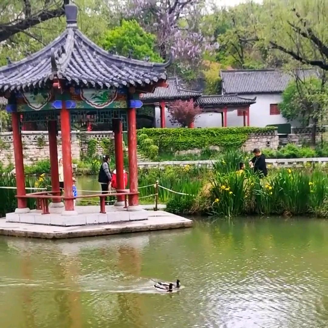 清风刀客