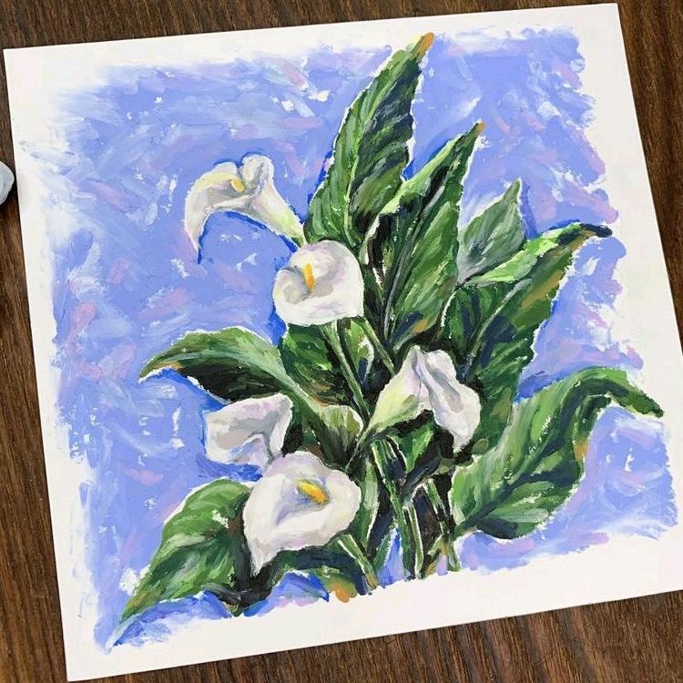 驻村小韩的诗和远方