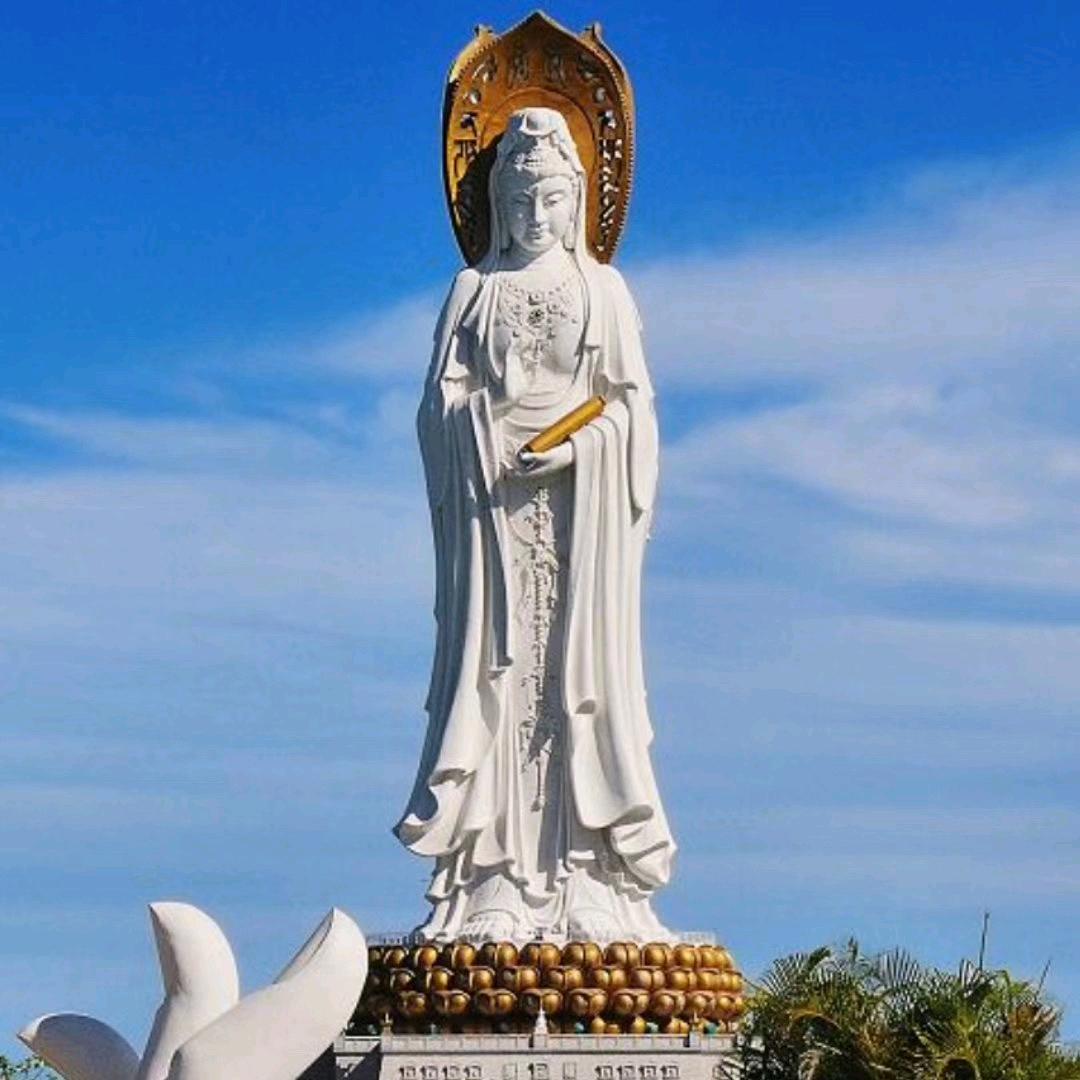 泊里永刚家店
