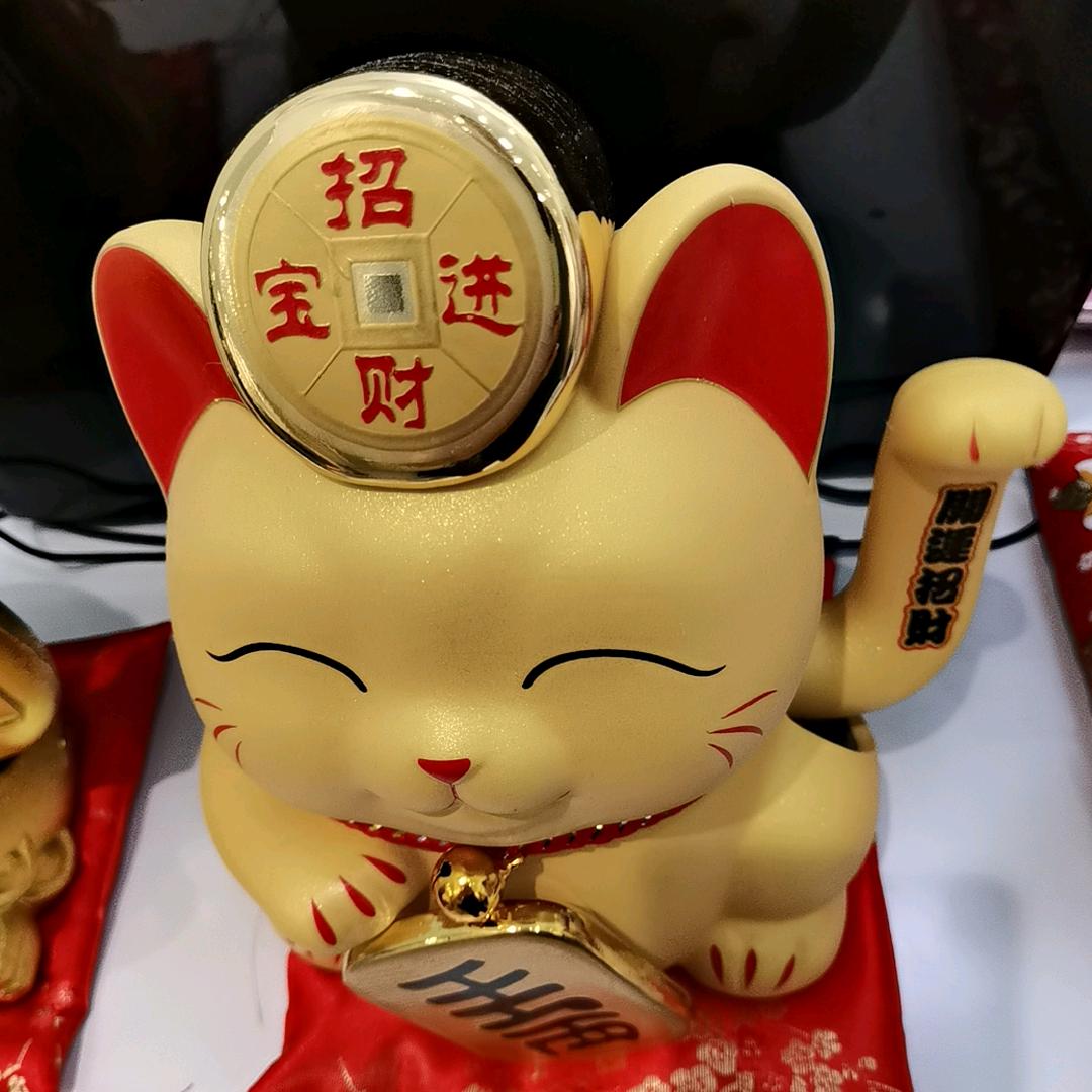 为了遇见你