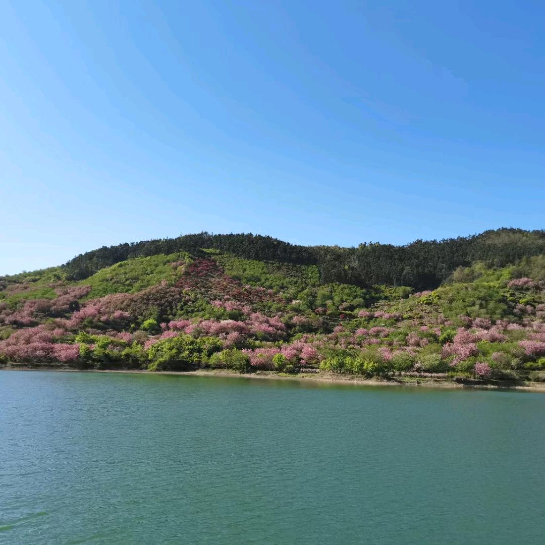 风平浪静
