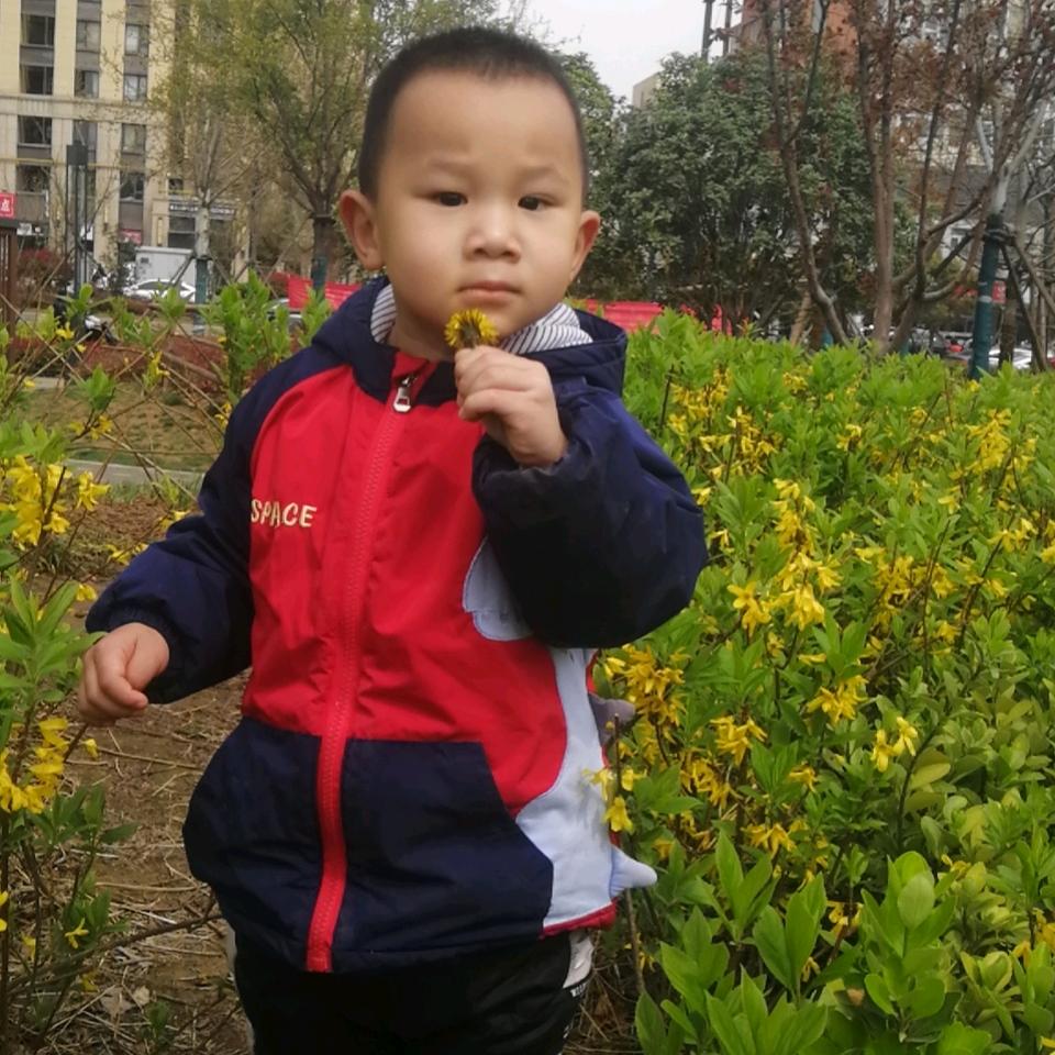 岁月如歌，咫尺天涯