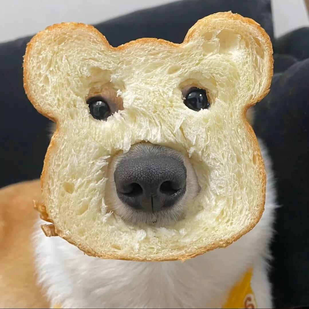 种一个月亮吧