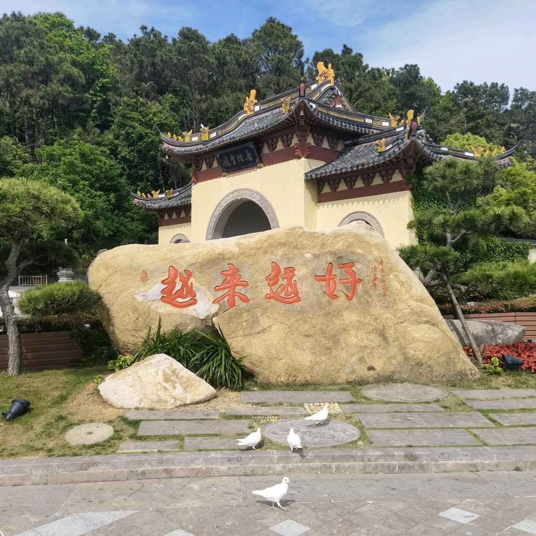 姚