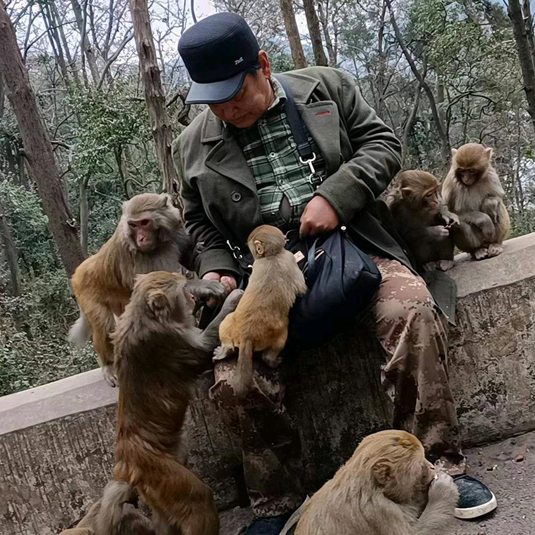 老猴子