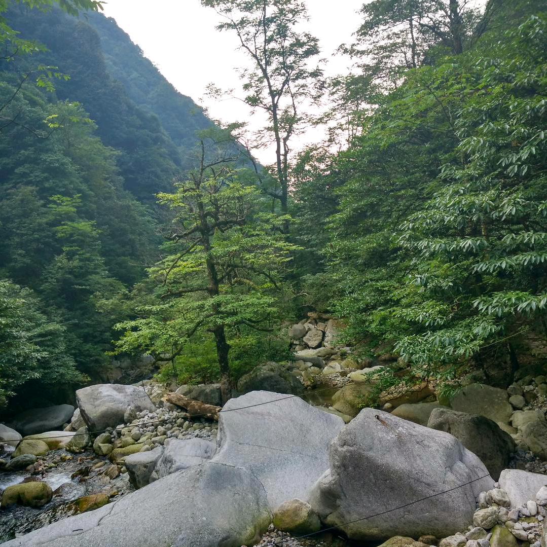 放飞自由的心