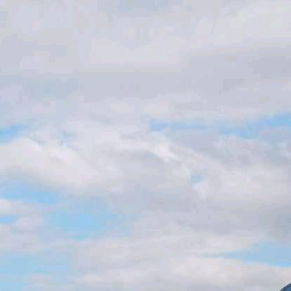sir