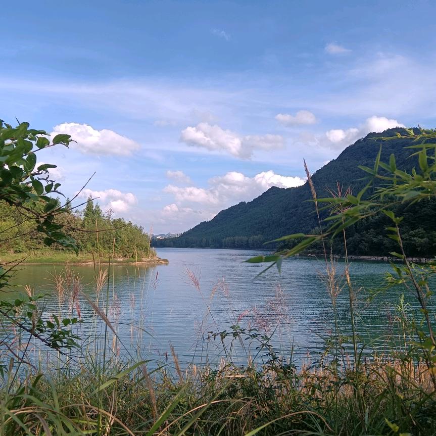 只要转身便是一生