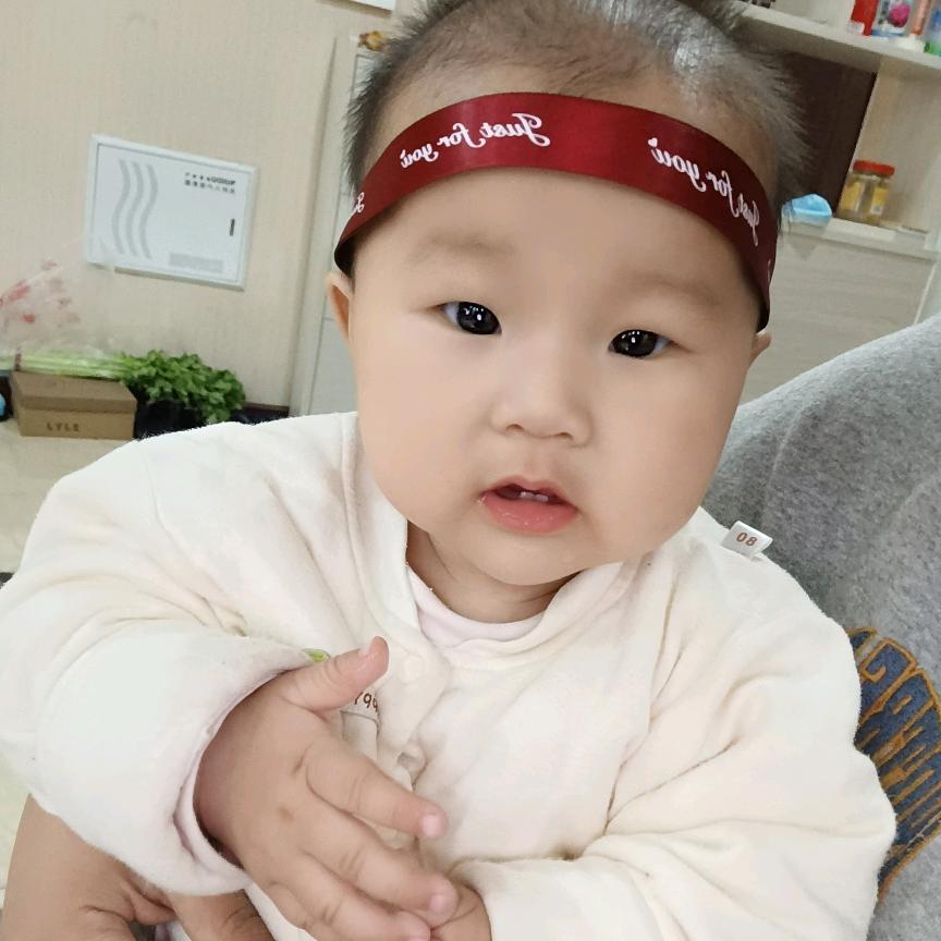 红狐❤