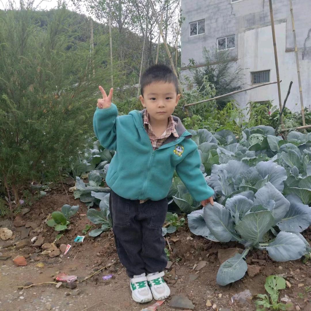 🎸🌴💫阳阳💫