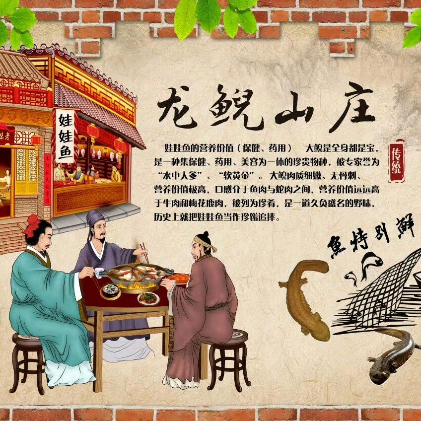 龙鲵山庄🐉阿国