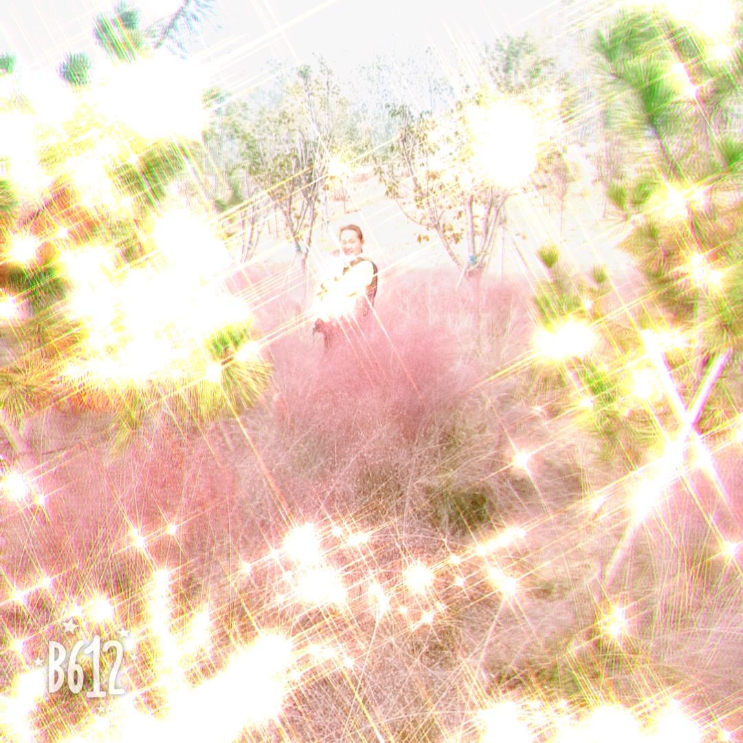 @᭄笨丫头꧔ꦿꦿ꯭：