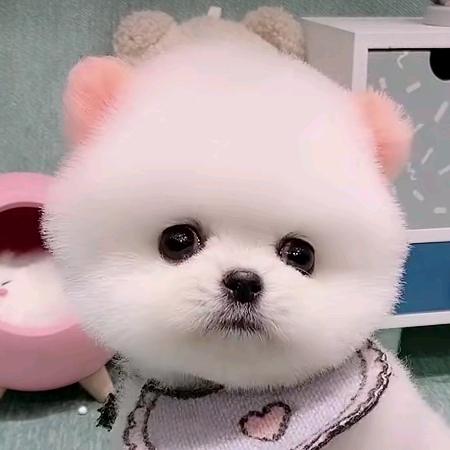 眠