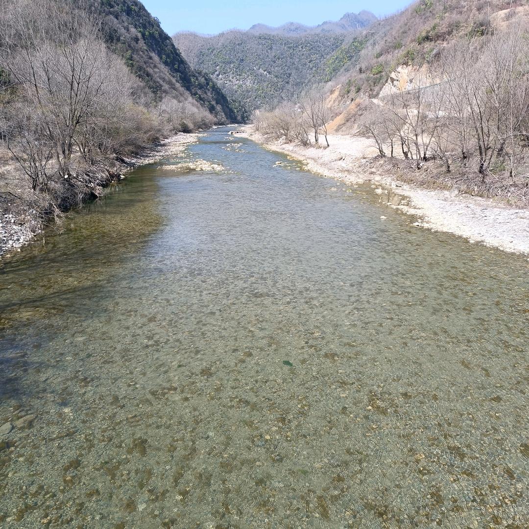 素颜