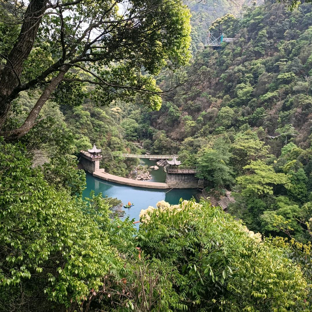 我是馨月呀！