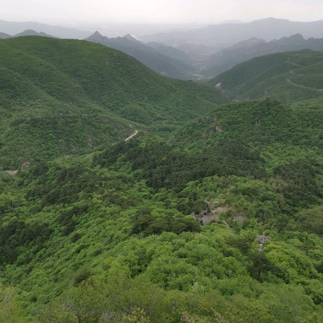 北京小马哥
