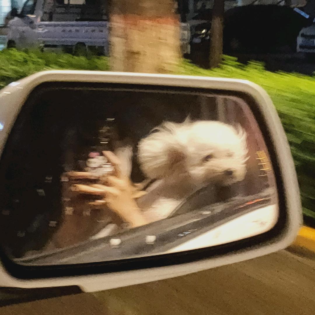 小王记性不太好🙈