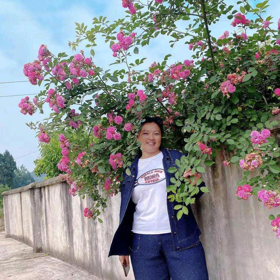 黑八筒商贸部